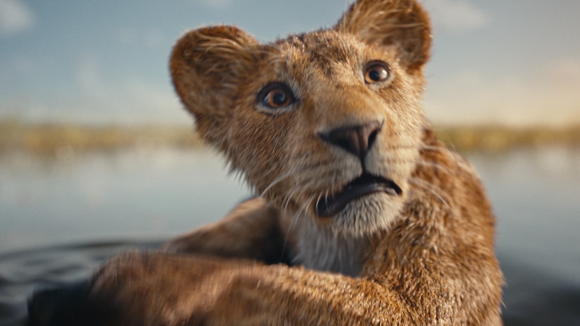 Mufasa: The Lion King Backdrop